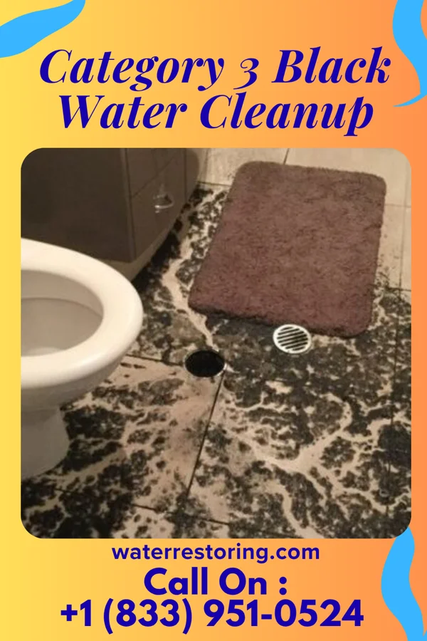 Category 3 Black Water Cleanup in Vinton, OH