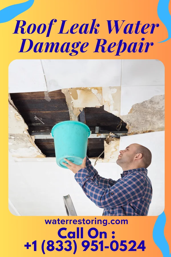 Roof Leak Water Damage Repair in Vinton, OH