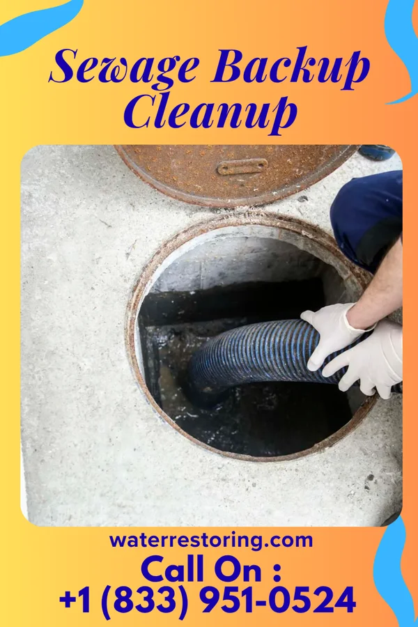 Sewage Backup Cleanup in Vinton, OH