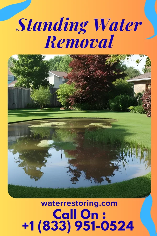 Standing Water Removal in Vinton, OH